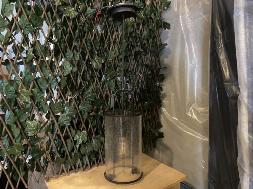 Classy Plug-In Seed Glass Single Bulb Pendant Light
