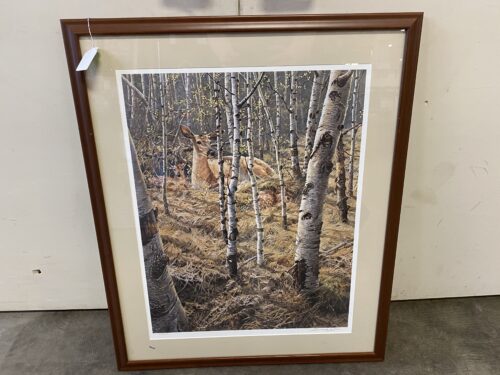 "Resting Deer in A Birch Forest" Hanging Art Print