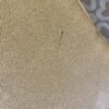 Tan Quatrefoil 3 Seater Sofa