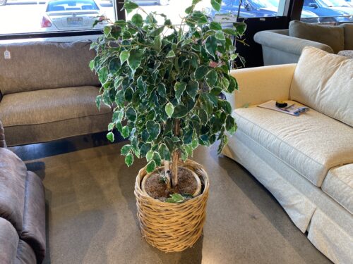Faux Plant with Basket