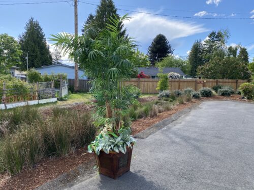 Large Faux Palm Tree Plant