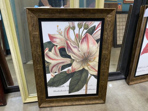 Rhododendrun Print In Walnut Finished Frame