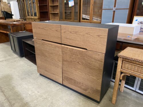 Wood Door Black Framed Cabinet