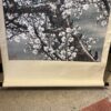 Large Hanging Scroll of Cherry Blossoms