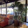 Large Faux Bird of Paradise Plant