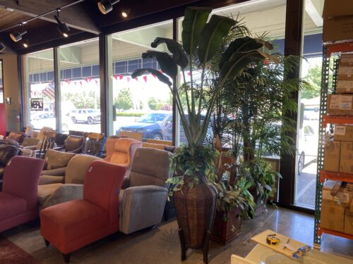 Large Faux Bird of Paradise Plant