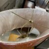 WIMSEY Orange Silk Shade Table Lamp