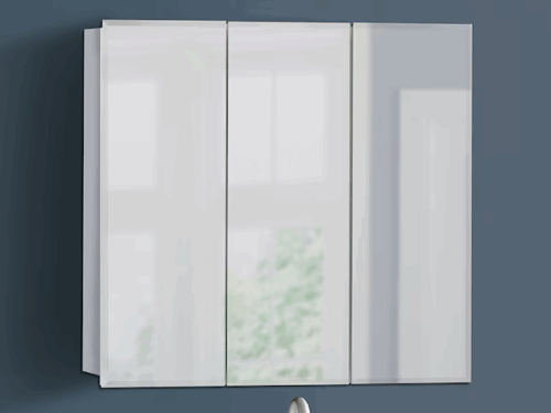 STYLE SELECTIONS Mirrored Medicine Cabinet Model #23730