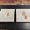 Set of Seashell Canvas Pictures