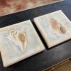 Set of Seashell Canvas Pictures
