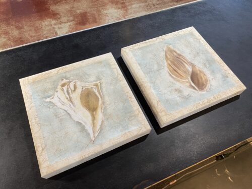 Set of Seashell Canvas Pictures