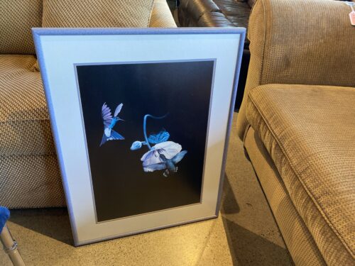 Framed Hummingbird and Flower Art Print
