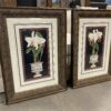 Pair of Potted Orchid Framed Prints