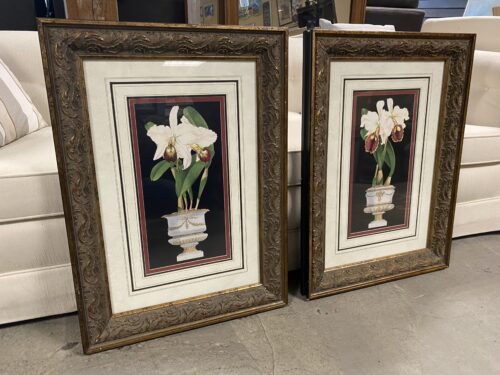 Pair of Potted Orchid Framed Prints