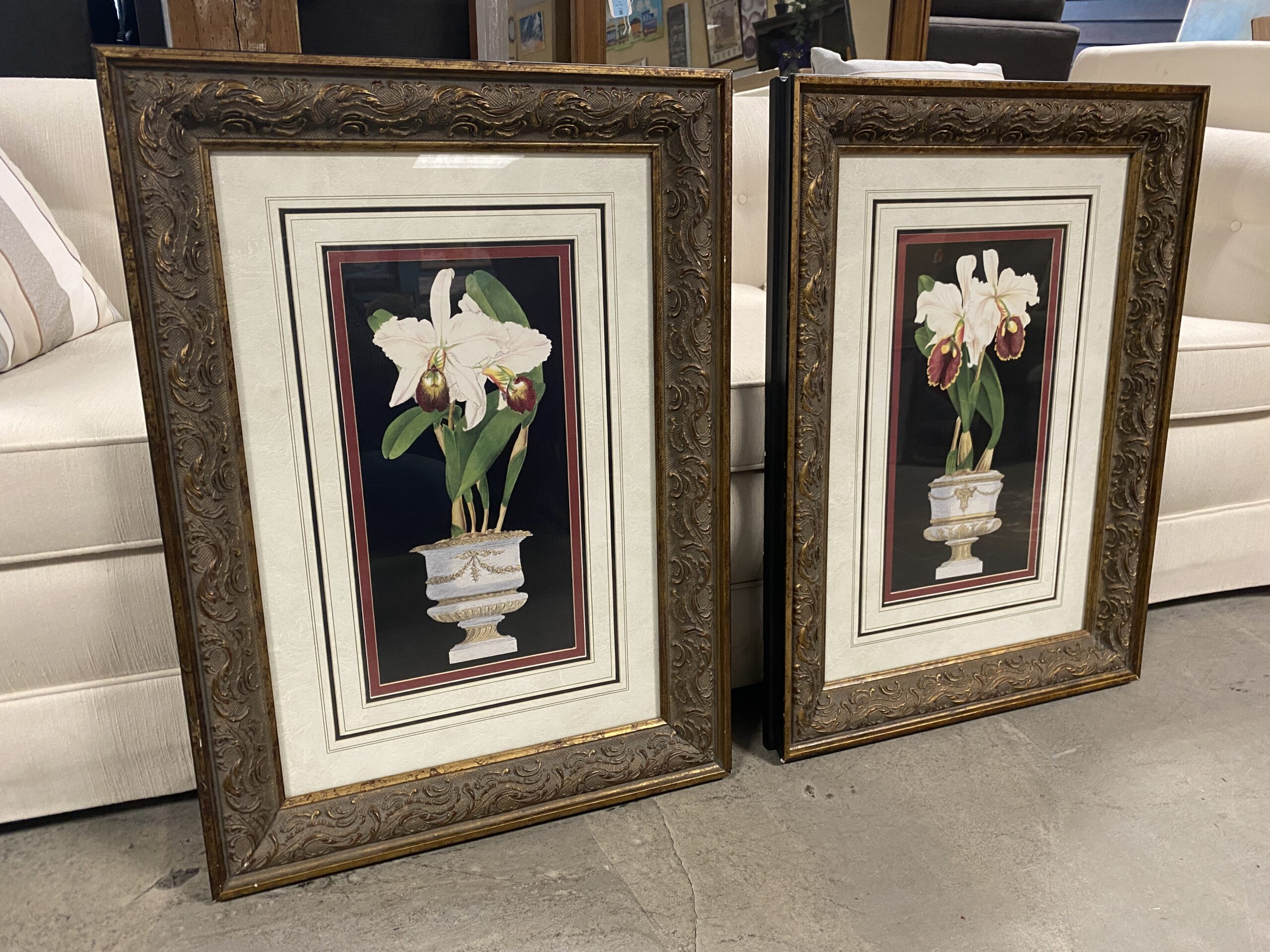 Pair of Potted Orchid Framed Prints