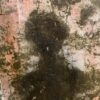 PIERRE MARIE BRISSON 'Apparance' In Shadow Box Frame