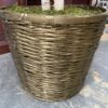 Artificial Weeping Fig Tree w/ Gold Painted Wicker Pot