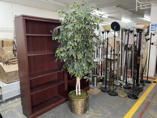 Artificial Weeping Fig Tree w/ Gold Painted Wicker Pot