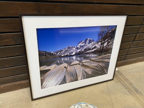 "At the Ready" Framed Photograph by Larey & Phyllis McDaniel