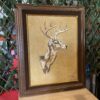 Young Buck Original Art on Hide by Faulkner