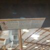 BAYSIDE Elise Ladder Style Industrial Bookshelf