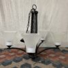 5 Light Metal Chandelier w/ Glass Shades