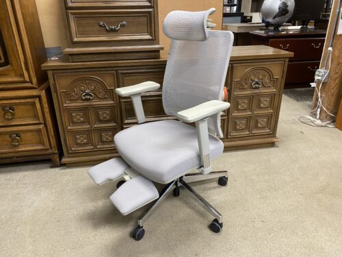 NEWTRAL Adjustable Ergonomic Office Chair