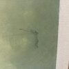 Original Canoe on Lake Oil Painting