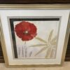 "Red Poppy" Framed Signed Print by Muriel Verger