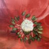"Red Poppy" Framed Signed Print by Muriel Verger