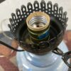 Vintage Blue Rose Dual Light Hurricane Lamp