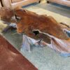 Rustic Live Edge Burl Coffee Table