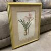 "Amaryllis Belladonna" Signed Print by Redoute Pina