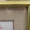 "Amaryllis Belladonna" Signed Print by Redoute Pina