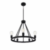 QUOIZEL Pendle Brook 5 Light Matte Black Chandelier