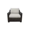 KATHY IRELAND River Brook Club Chair-Single, Ash Grey(Auburn Store)