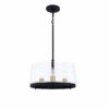 QUOIZEL Whitlock Glass Cloche Pendant Light