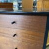 Black Framed Dresser with 9 Wood Panelled Drawers