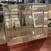 RENWIL Beveled Edge Mirror w/ Silver Bead Trim