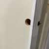 Pre-Hung Primed White Interior Door Slab