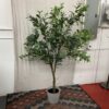Faux Olive Tree Plant w/ Ceramic Pot