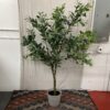Faux Olive Tree Plant w/ Ceramic Pot