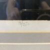 "Blue Mist" Signed Framed Print by Virgil Thrasher