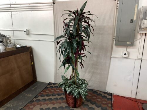 Faux Red & Green Palm Tree w/ Wicker Pot