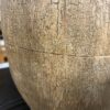 Natural Textured Tree Table Lamp