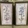 Mediterranean Art of Birds and Fruit Set