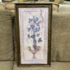 Mediterranean Art of Birds and Fruit Set