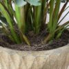Large Faux Philodendron Plant w/ Textured Pot