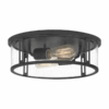 NEW! QUOIZEL Harbor 2-Light Flush Mount