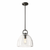 NEW! RESTORATION HARDWARE Botanist Done Pendant Light in Bronze